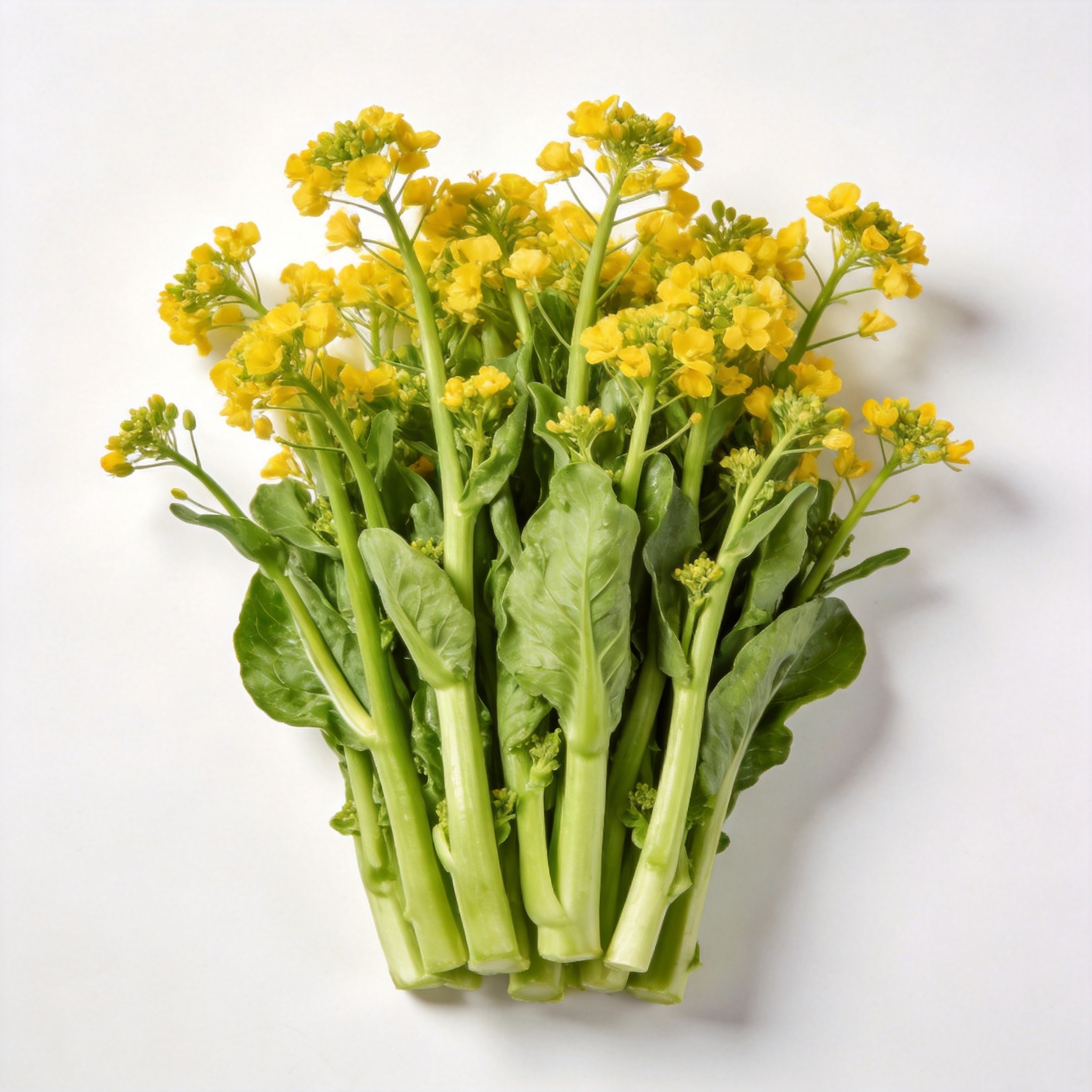 菜心