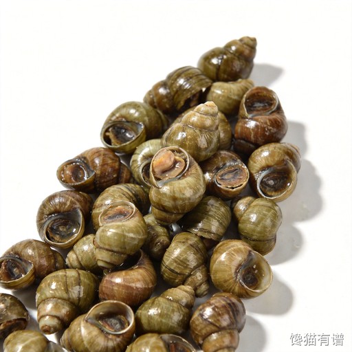 螺蛳