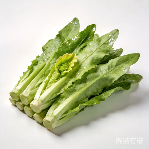 油麦菜